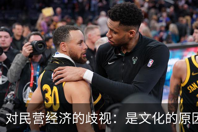 对民营经济的歧视：是文化的原因，还是意识形态的推动
